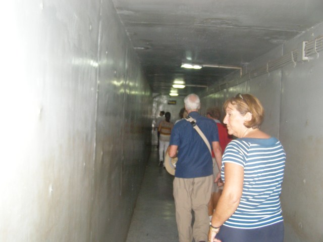 © irene waters 2015