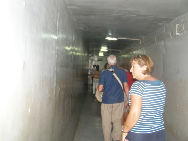 © irene waters 2015