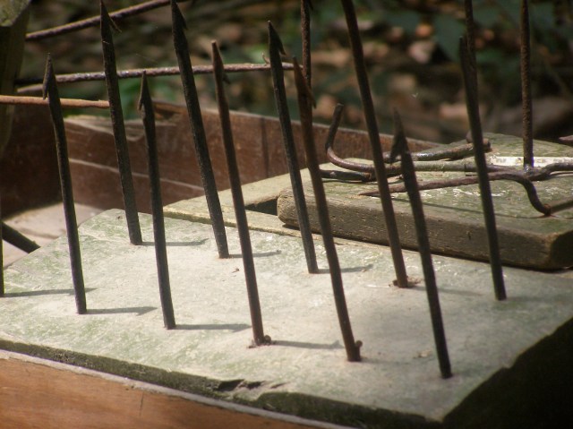 © irene waters 2015