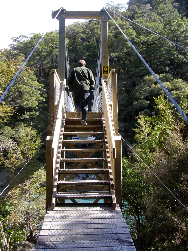 © irene waters 2015