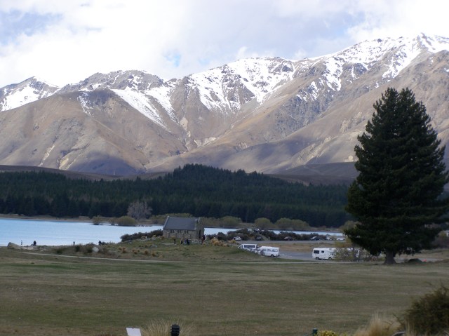 © irene waters 2015