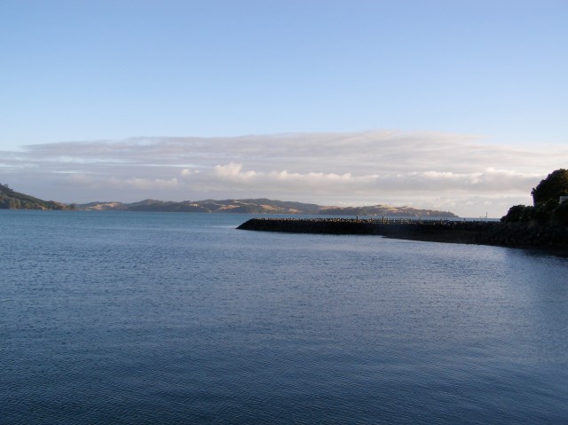 © irene waters 2015