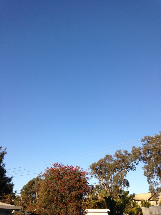 © irene waters 2015