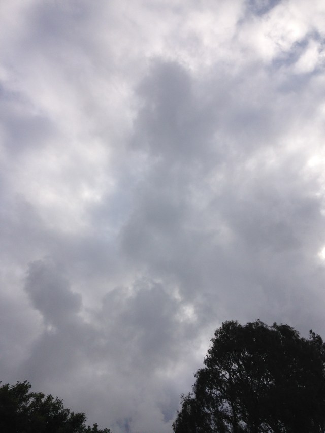 © irene waters 2015