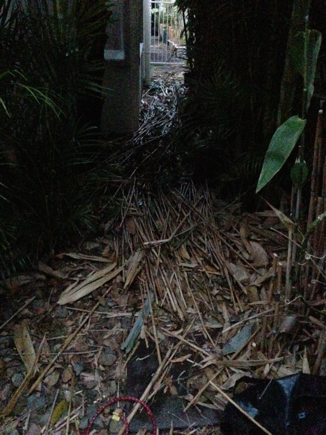 © irene waters 2015