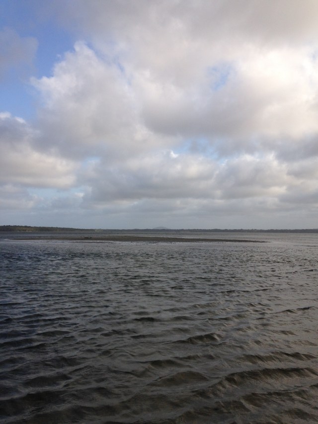 © irene waters 2015