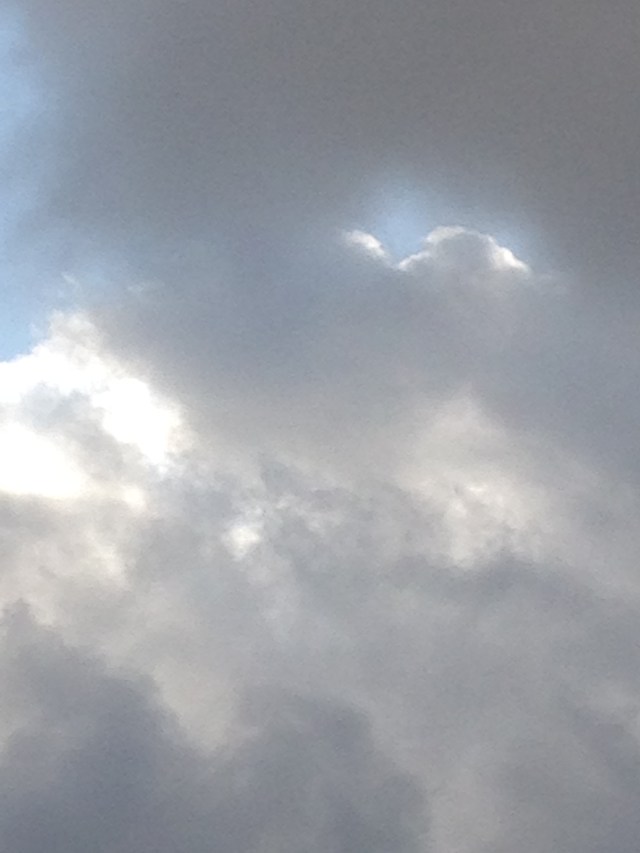 © irene waters 2015