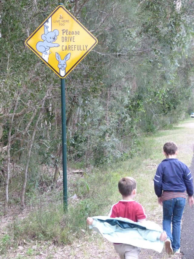 © irene waters 2015