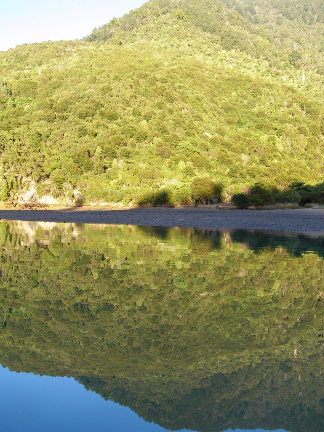 © irene waters 2015