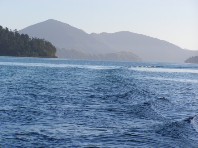 © irene waters 2015