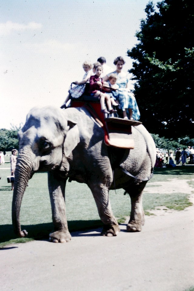 © irene waters 2015