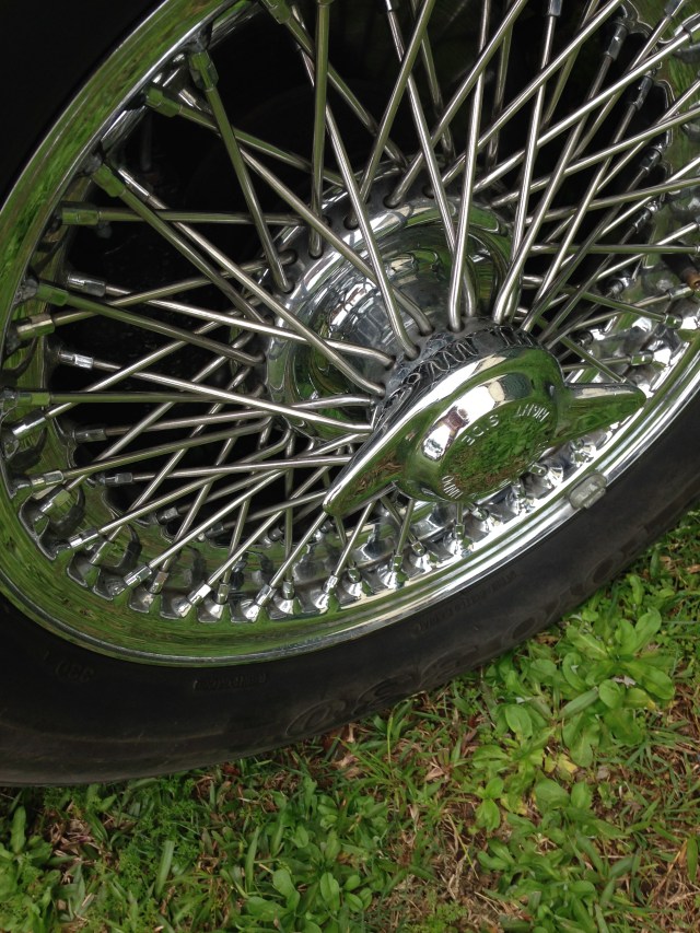 © irene waters 2015