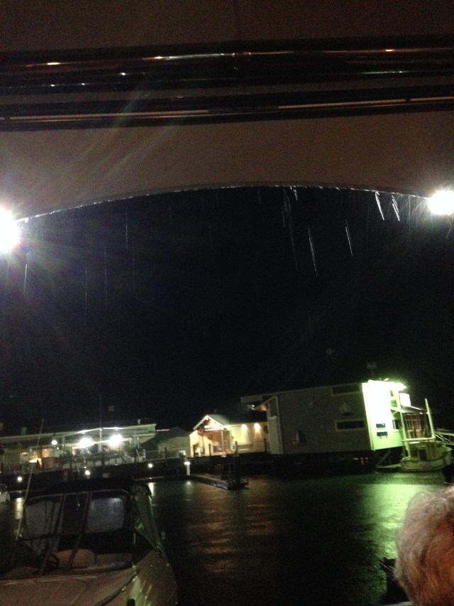 © irene waters 2015