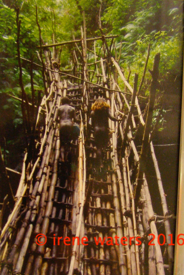 Cascades Vanuatu ladder