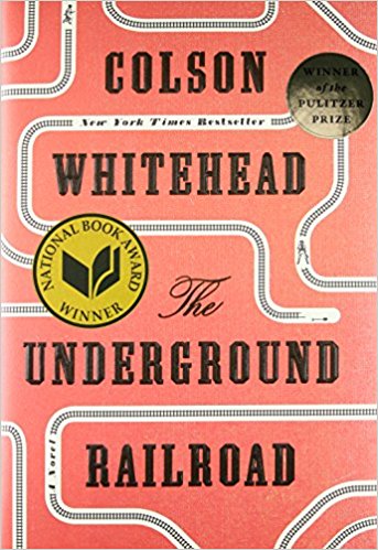 51vSaW82n0L._SX341_BO1,204,203,200_