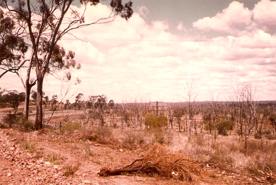 0074 scenes from bus
